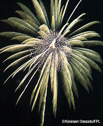 palmtree with spangle pistil